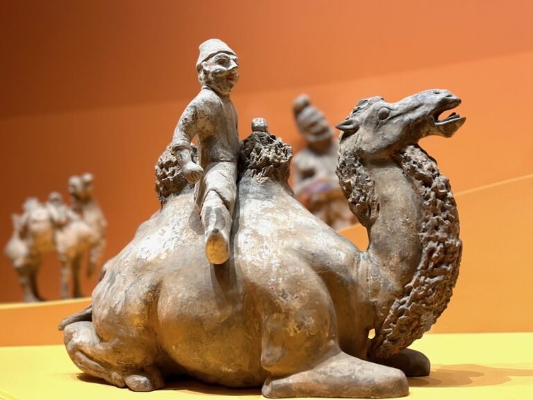 🏨 Visiting the Xi’an Museum 西安博物院: A Gateway to Chang’an’s Glorious Past