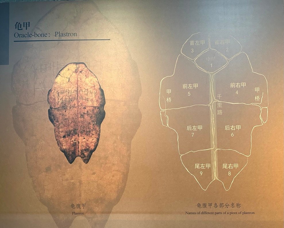Deep China: From Oracle Bones to Your Phone — Why Chinese Writing Matters So Much
