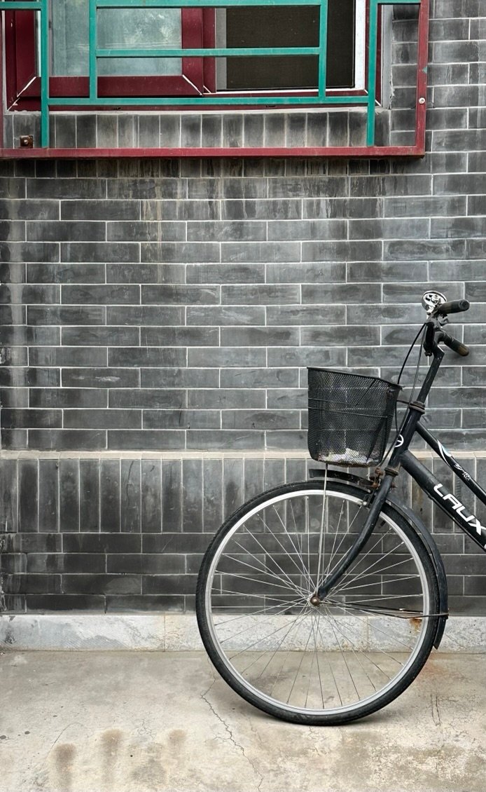 A Fat Cat, a Skinny Dog and an Ordinary Morning in a Beijing Hutong