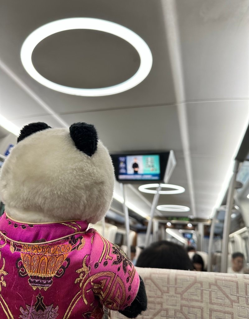 How We Got to Beijing Daxing Airport by Metro — Elaine Planned the Cheap Way 😂