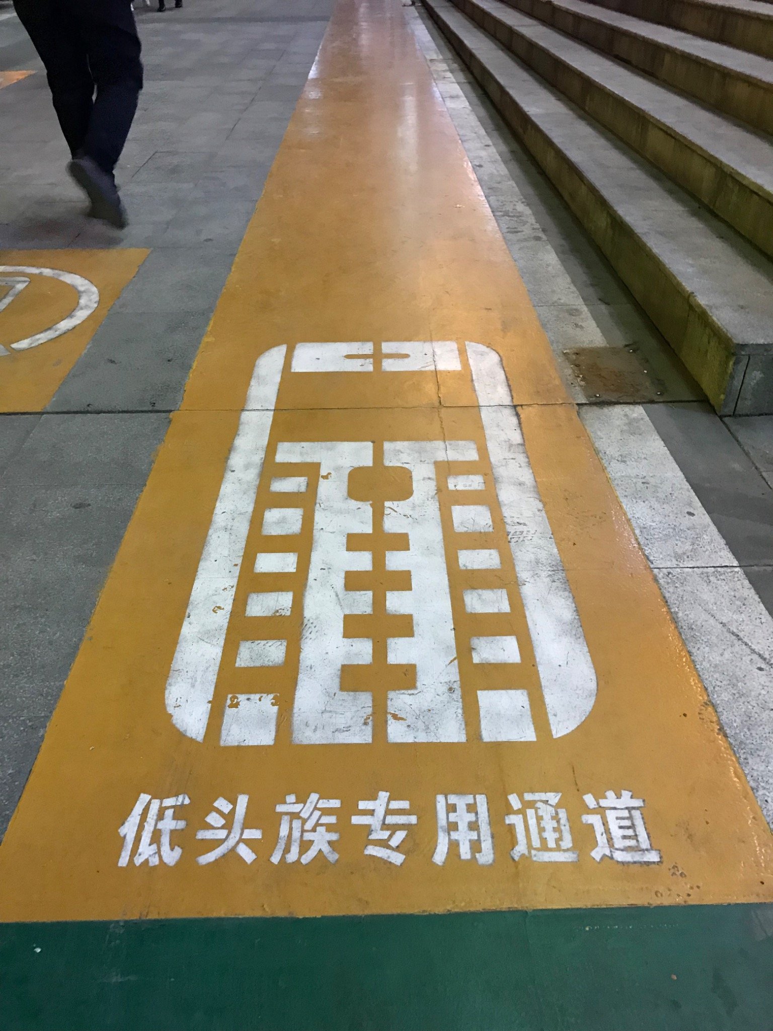 Dad, They Have a Special Lane for People Looking at Their Phones?