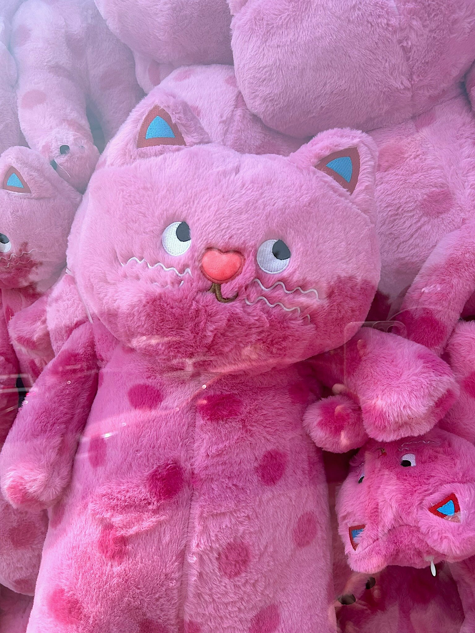 Elaine Found Meow in Qufu — And Our Traveling Family Got Bigger 😂